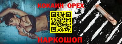 крисы Моздок