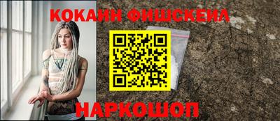 крисы Моздок