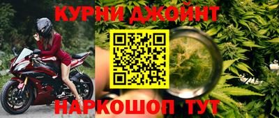 крисы Моздок