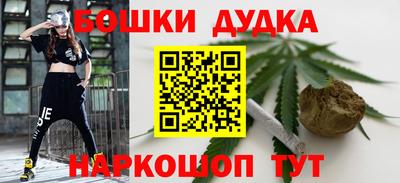 крисы Моздок