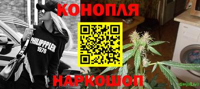 гашик Можга