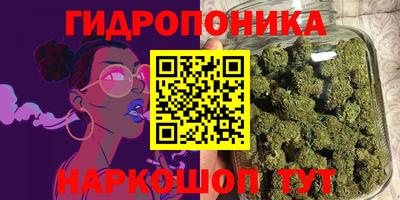 гашик Можга