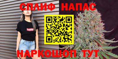 гашик Можга