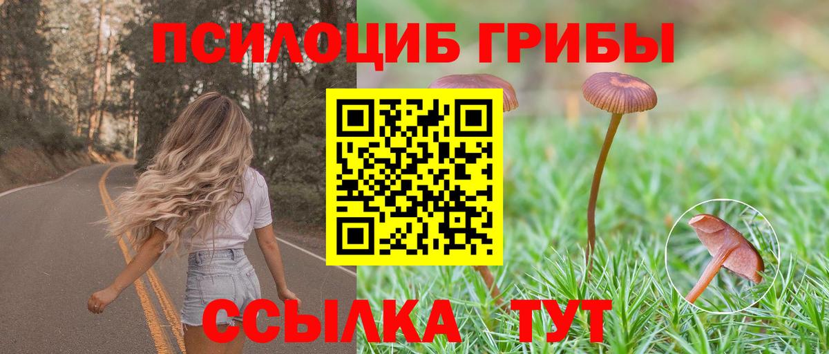 Галлюциногенные грибы Psilocybe  Вход с VPN  Псилоцибиновые грибы GOLDEN TEACHER  Тара 